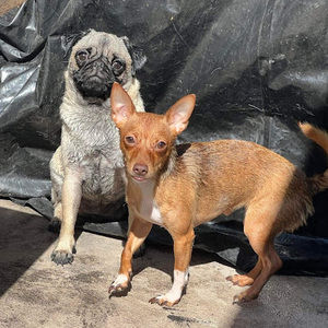 Meet your Posher, Edwin